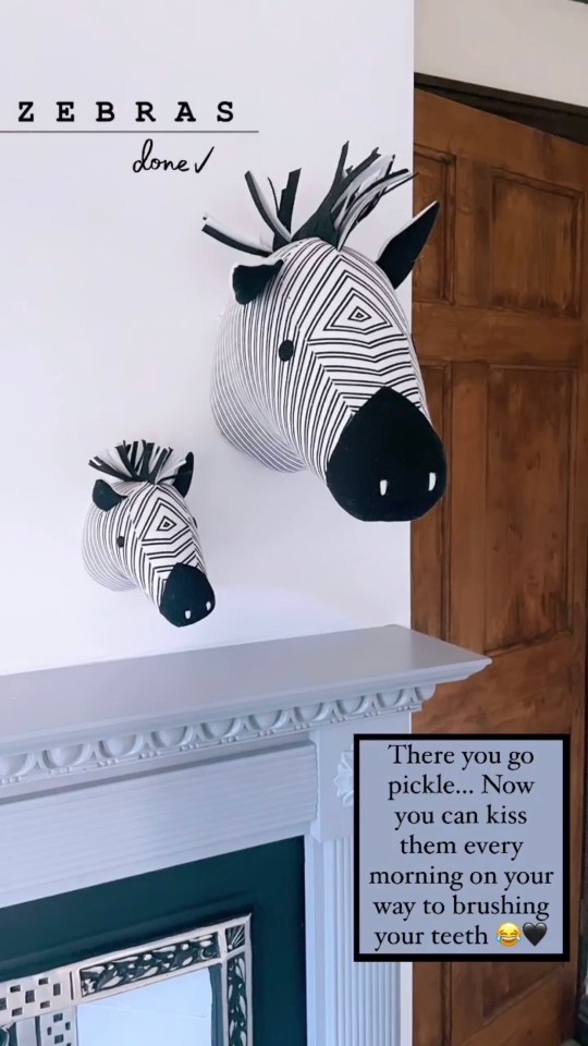 These Zebras cost just £8 in Dunelm