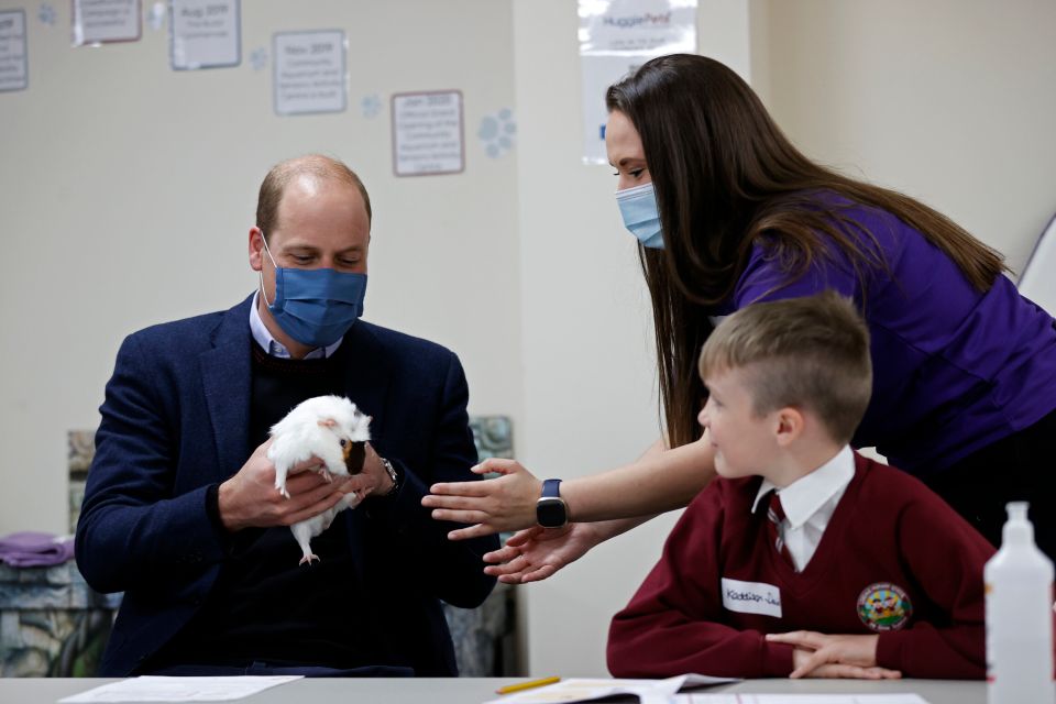 Will hands back Gus the Guinea Pig at the centre