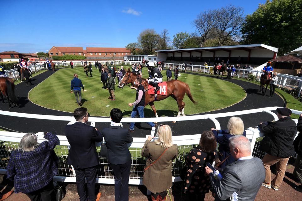 Punters watch on at Redcar as jockeys mount before a race