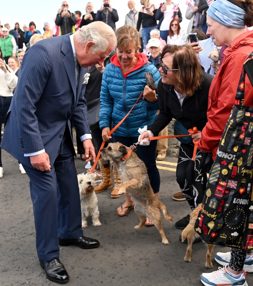 And even an enthusiastic dog leaping up didn’t stop the prince from smiling broadly