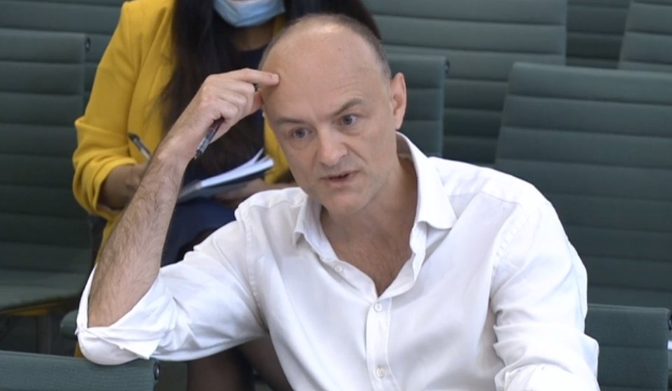 Dominic Cummings was being quizzed by MPs on the government's handling of the pandemic