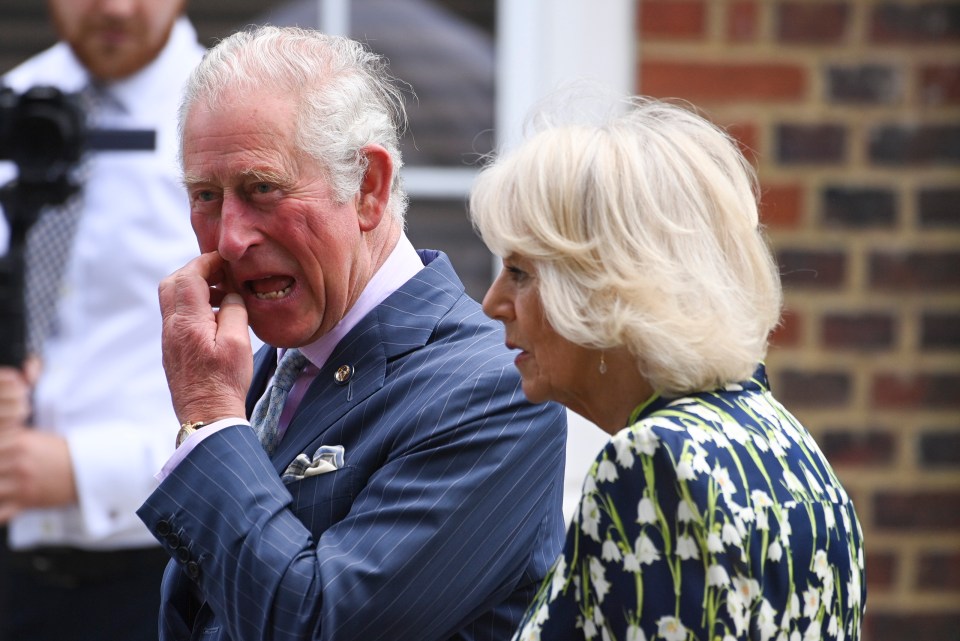 The Prince of Wales was seen chuckling on a visit to Clapham to celebrate the great British high street