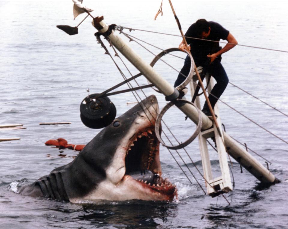  Jaws is a classic about a man-eating great white shark