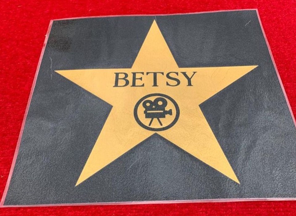 The youngster even had her own fake Hollywood walk of fame star