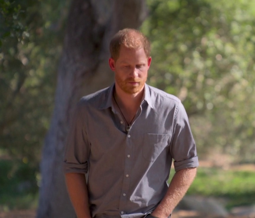 Prince Harry's latest interview on his family will cause 'dismay', a royal expert says