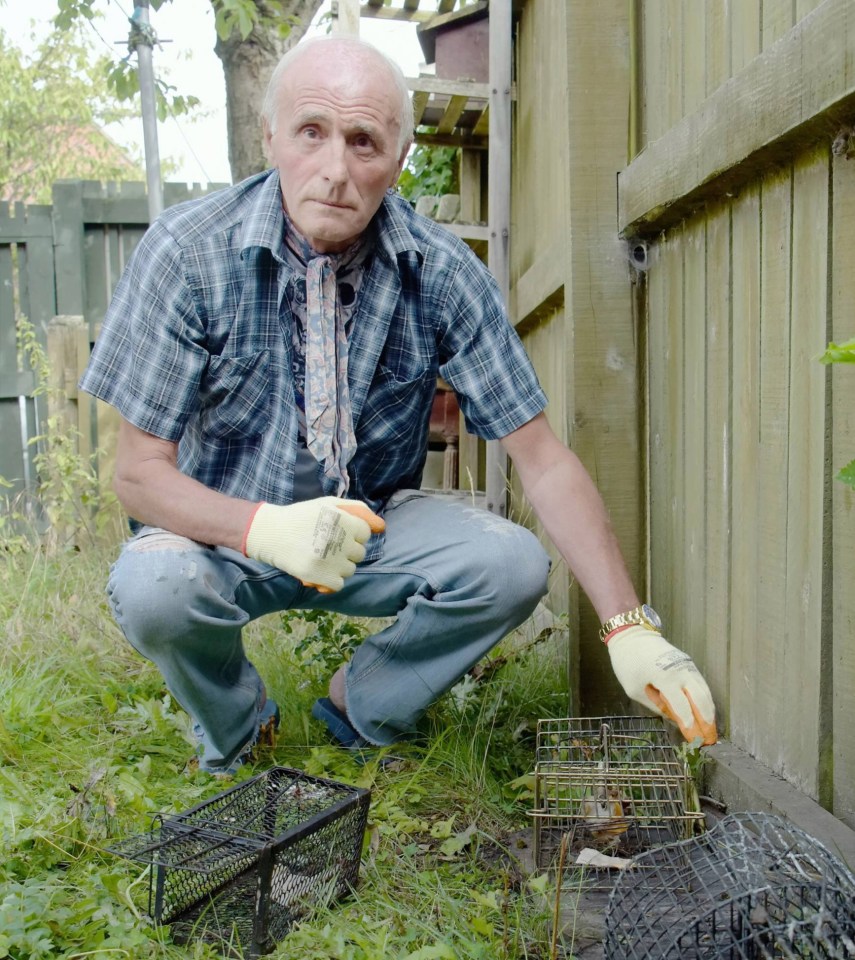 One quiet street in Sunderland saw an explosion of rats during the summer