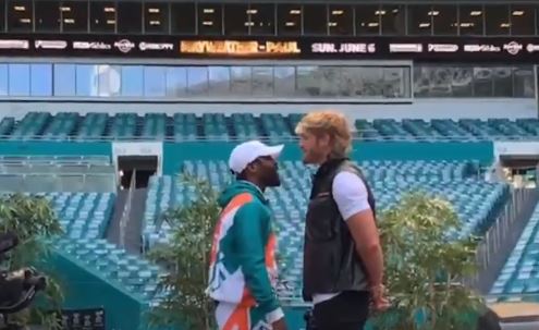 Mayweather faces Logan Paul net month in an exhibition bout