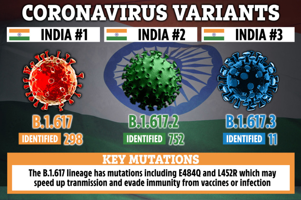 Cases of the B.1.617.2 Indian variant have rapidly increased in a short period of time