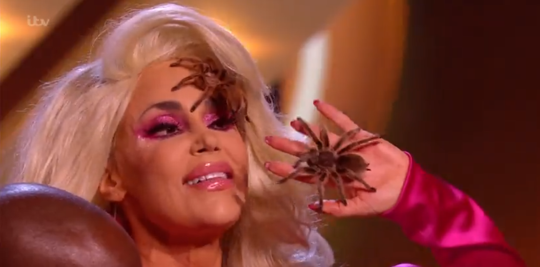 Game of Talent's viewers were horrified after a woman put a tarantula on her face