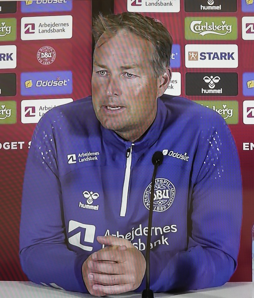 Denmark manager Kasper Hjulmand said the game shouldn't have been continued