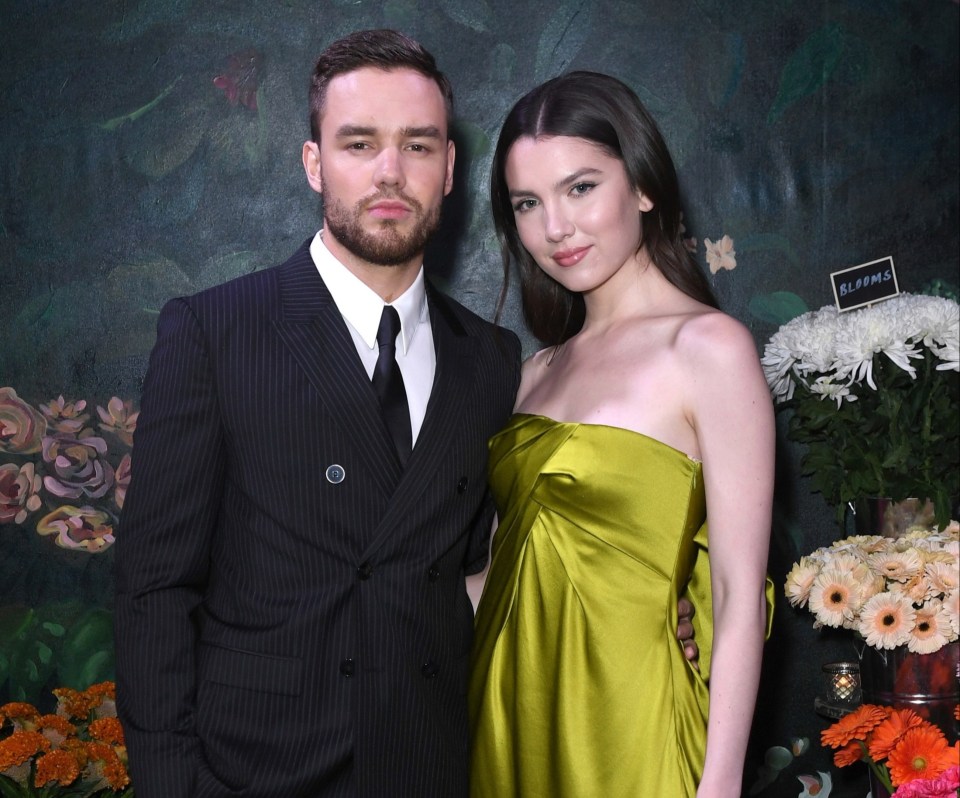 Liam has split from fiancee Maya Henry