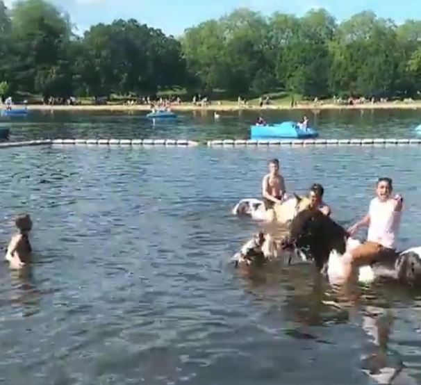 The row descended into a shouting match in Hyde Park, London