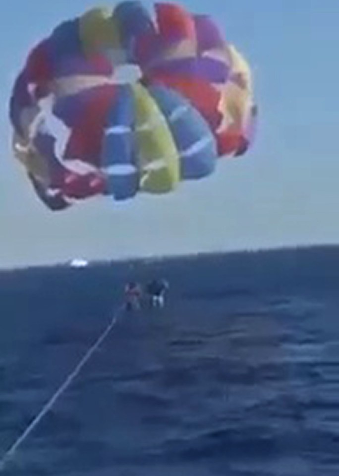 The tandem paraglider sustained serious injuries in the bloody attack