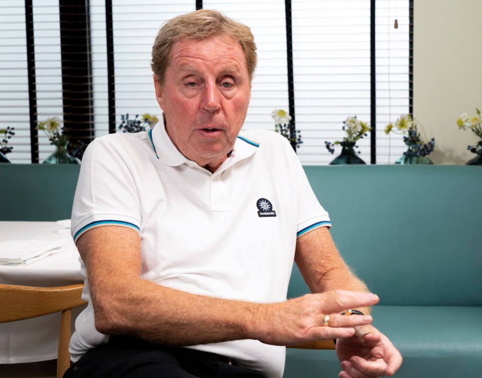 Harry Redknapp believes the Manchester City star needs more freedom