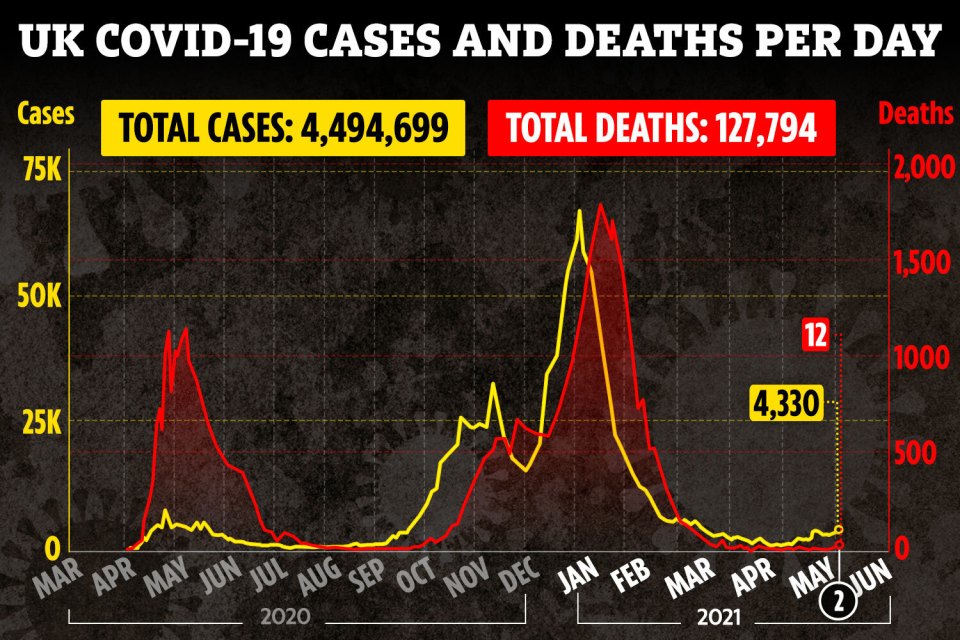 A total of 12 people died from Covid in the last 24 hours