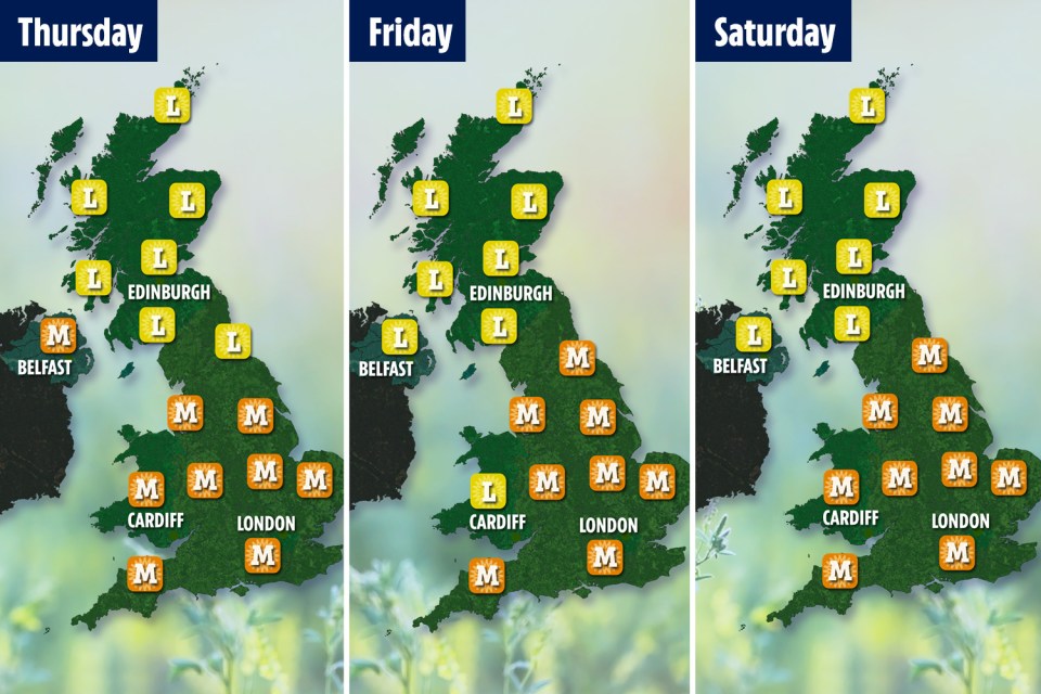 The charts above show the pollen count from tomorrow - as experts warn pollen and high temperatures could be dangerous for asthma sufferers