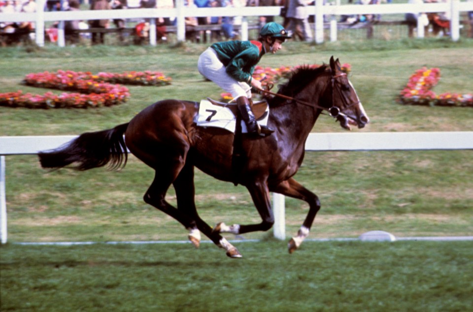 Shergar was estimated to be worth £10m at the time of his kidnapping