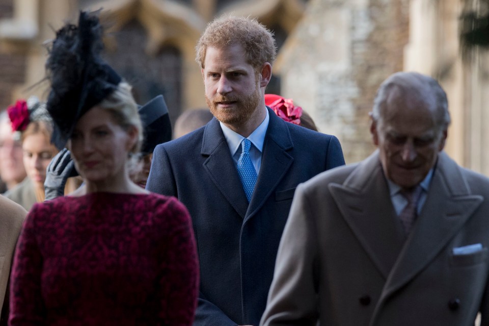 Sophie Wessex had a 'lengthy chat' with Prince Harry after Philip's funeral