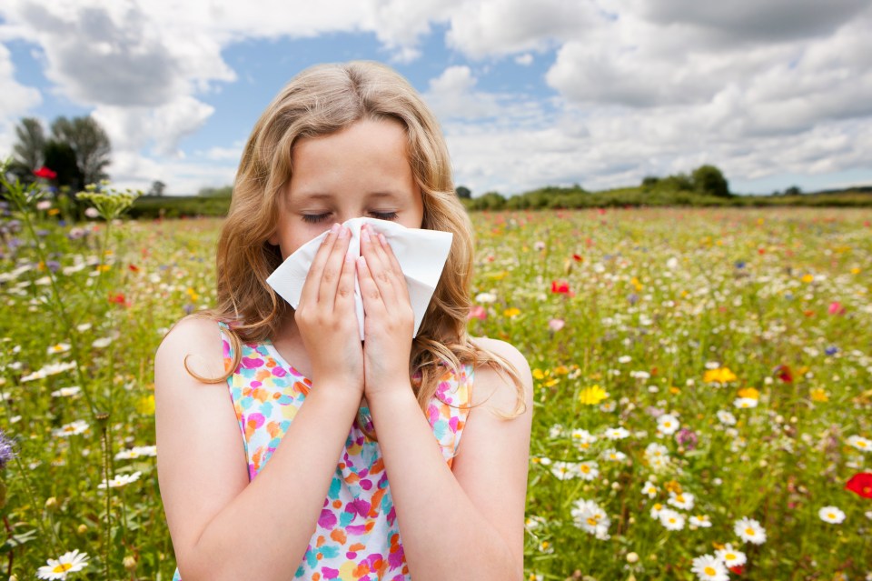 Hay fever effects may be felt stronger in 2021 as the easing of lockdown collides with hot and humid weather