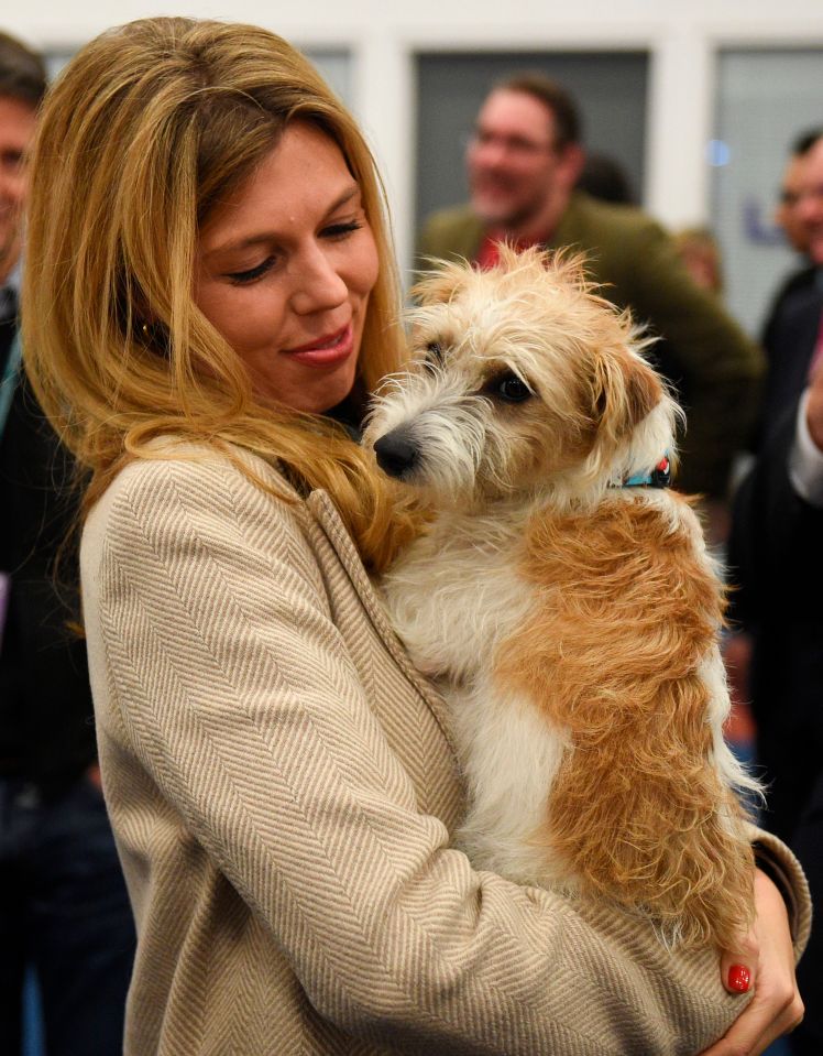 Carrie cosies up for a cuddle with sweet Jack Russell Dilyn