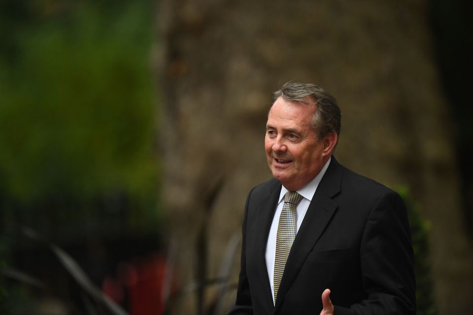 Dr Liam Fox said the PM should accelerate the end of lockdown