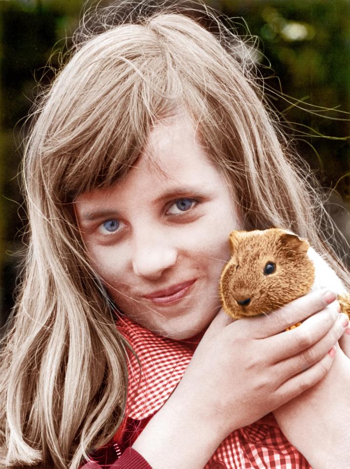 Diana won a first and second prize, in the 'fur and feathers' section, for her pet guinea pig in two different pet shows at Sandringham