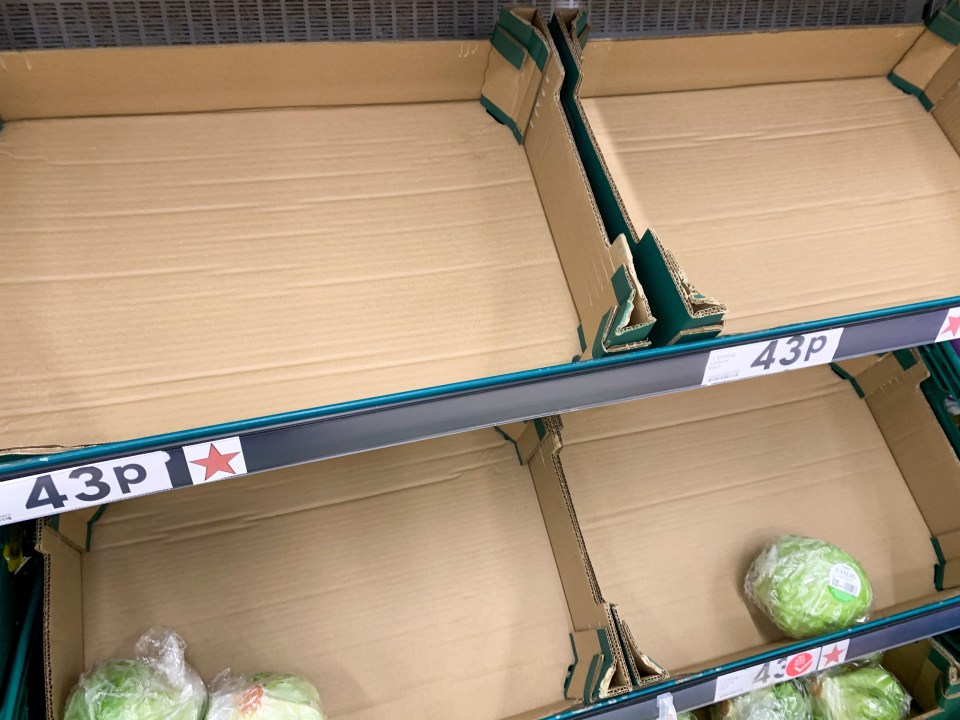 A familiar sight: shortages in fresh and chilled food could last all summer