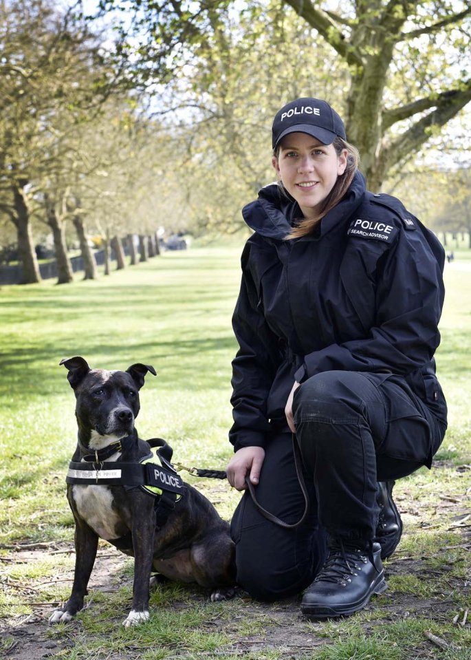 Roxy the rescue staffie seen here with PC Camilla Carter