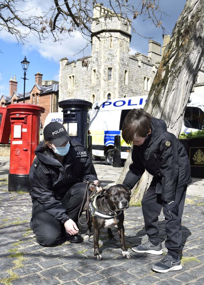 Roxy searches for explosives before the royal wedding of Princess Beatrice at Windsor Castle