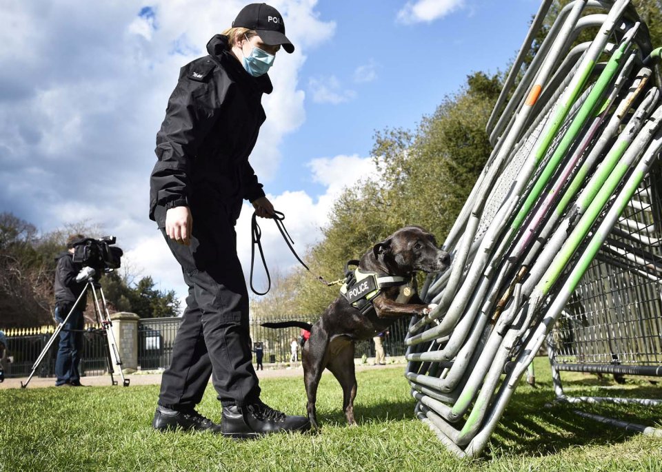 Roxy was rescued by RSPCA officers in 2017 and housed in West Hatch Animal Centre, Somerset