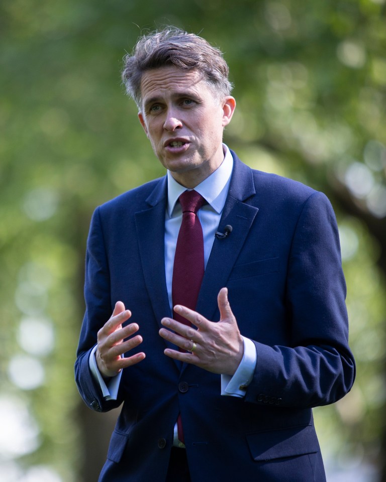 Gavin Williamson criticised the woke move