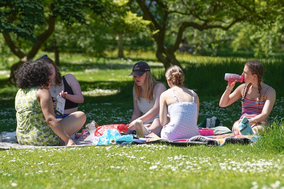 Pals enjoy some time in the park