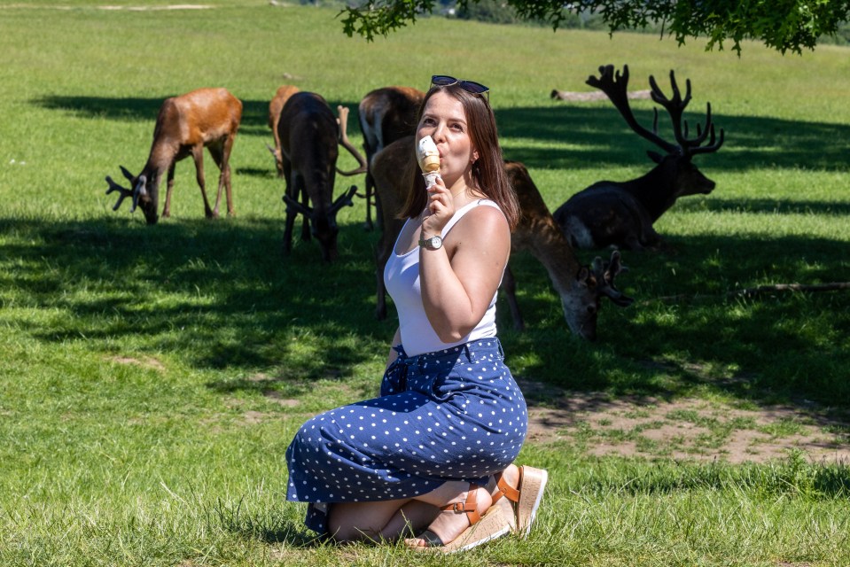 A woman cools off with an ice cream among the deer in the sunshine in Richmond Park