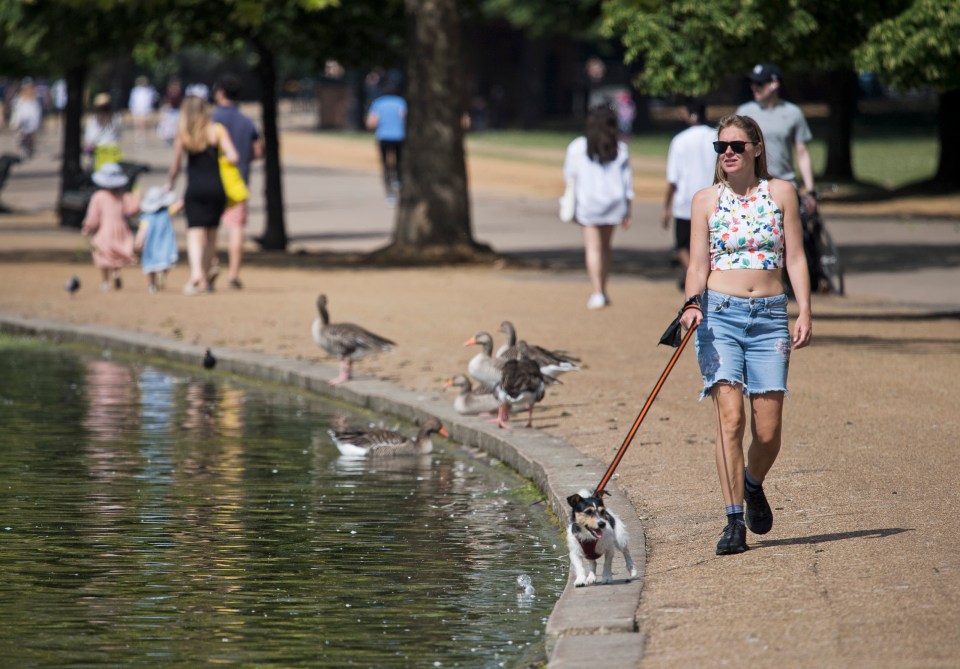 A woman enjoying a sunshine stroll in Hyde Park with her pooch