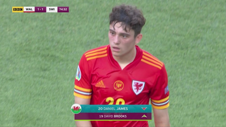 Daniel James was shocked to be coming off so soon after Wales' goal