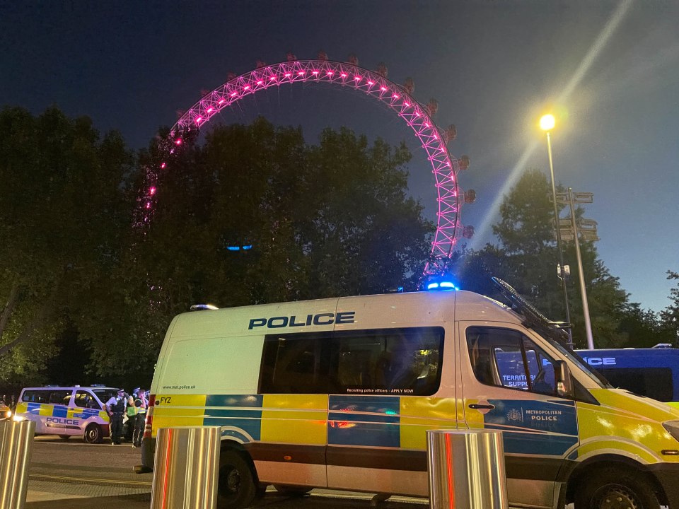 One person was arrested after the incident near the London Eye