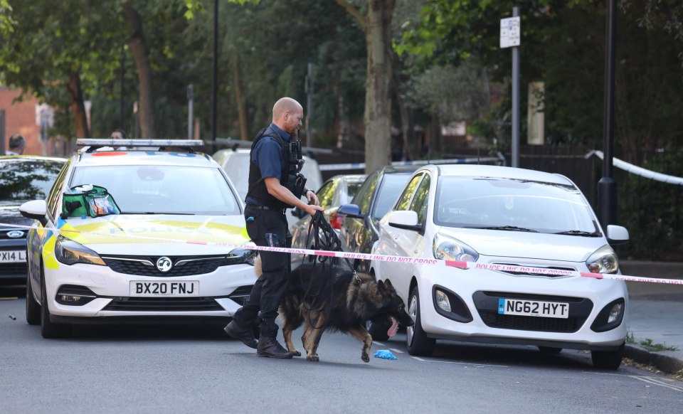 Cops at the scene after a pensioner using a walking stick was attacked in Camberwell