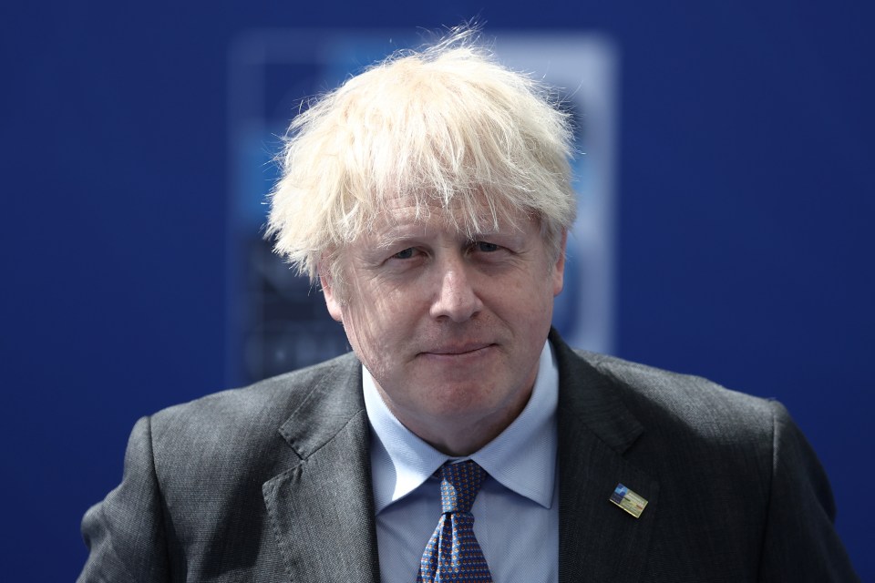 Boris Johnson said more time is needed to get the Indian variant under control