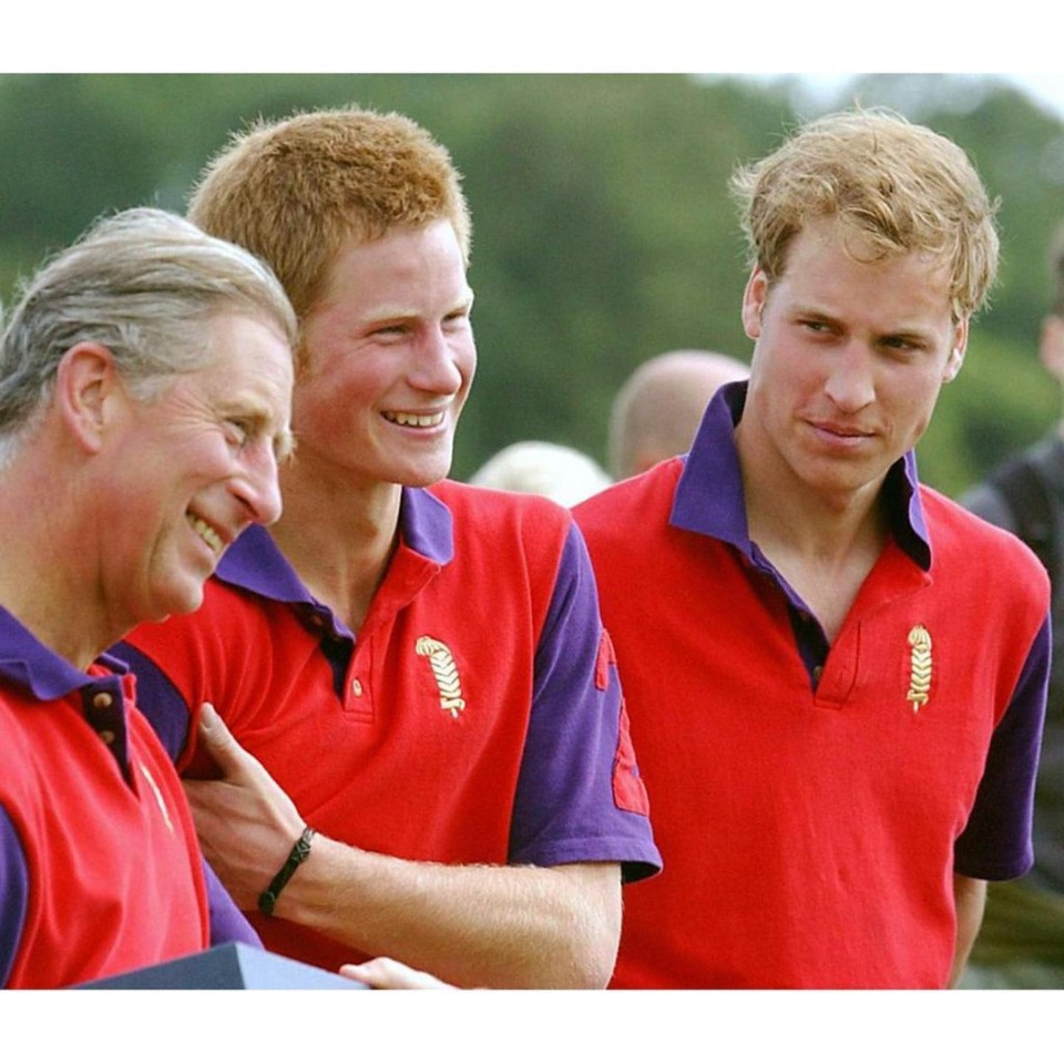 It’s said that the feud between Princes Harry and William has not been settled yet