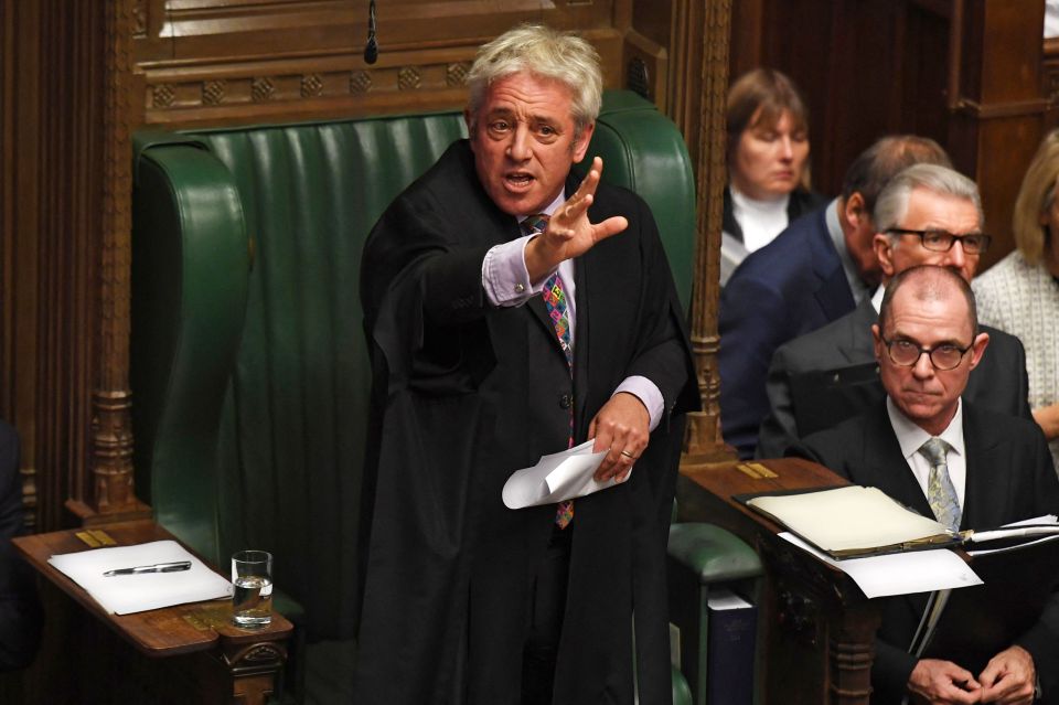 Mr Bercow stepped down as speaker of the House of Commons in 2019