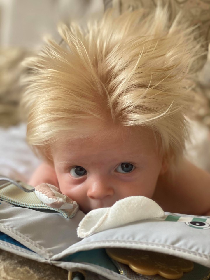 A baby born with striking blond hair has become a celebrity because he looks so much like Boris Johnson