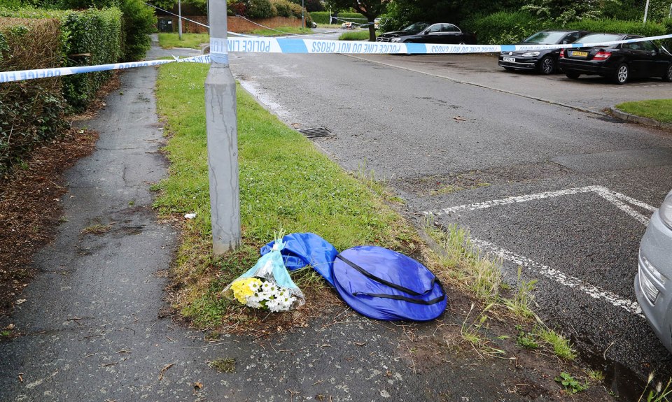 Beau was with his parents when he was killed