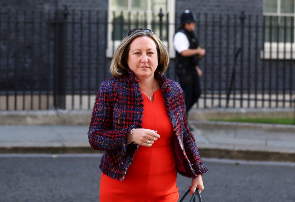 Energy minister Anne-Marie Trevelyan said the FA should look at giving tickets to expats