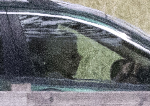 The Queen was spotted driving towards Frogmore Cottage today