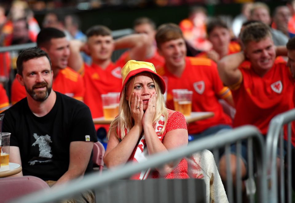 Welsh fan's nerves were rattled when Denmark's forward Kasper Dolberg put his country 1-0 up against Wales after just 26 minutes