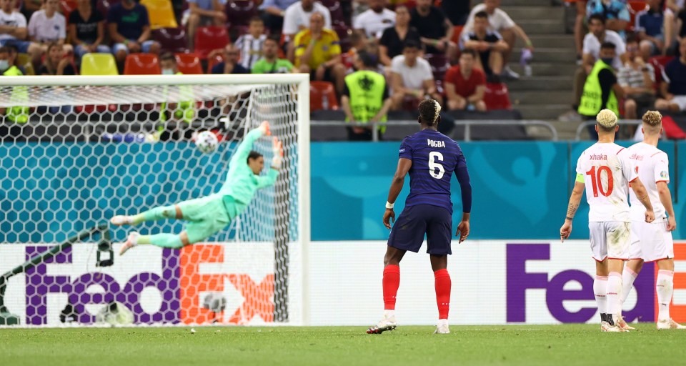 Paul Pogba scored a sensational curling strike for France against Switzerland