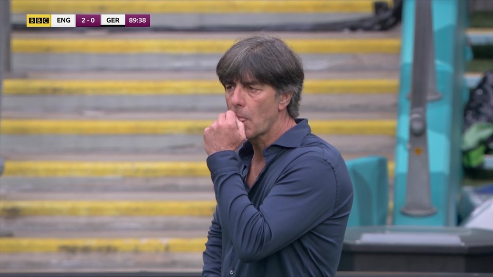 Germany chief Low sent fans into hysterics when he then put his hands to his mouth