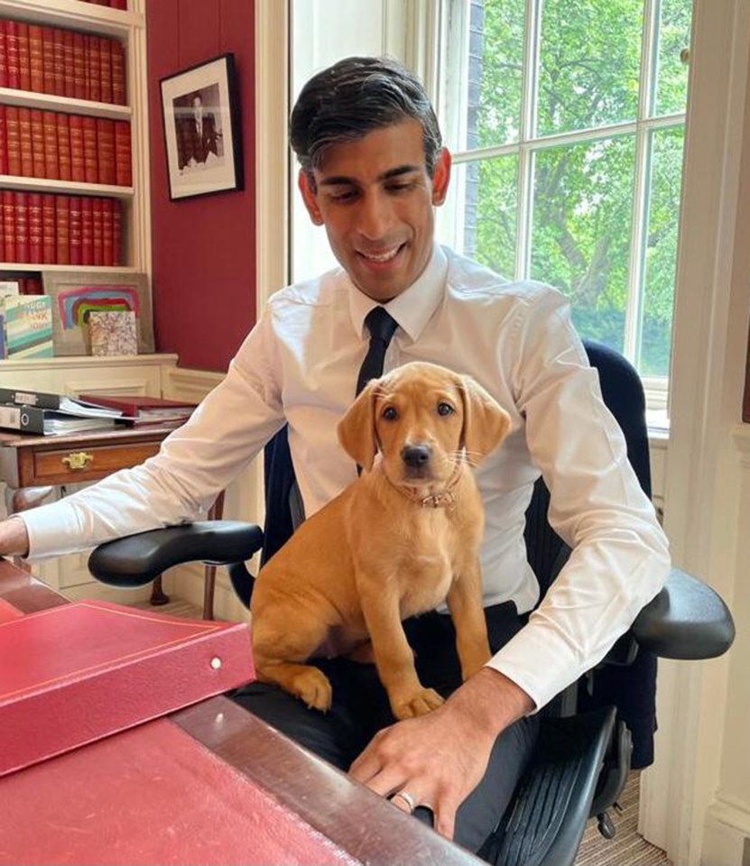 Chancellor Rishi  Sunak poses with his new dog Nova