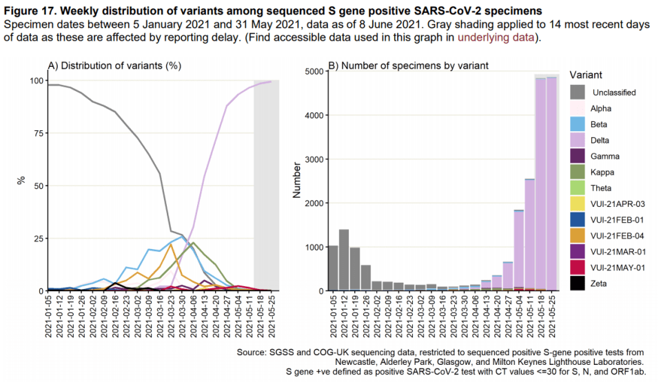 The Delta variant (purple) soared from April to become more dominant than any other strain