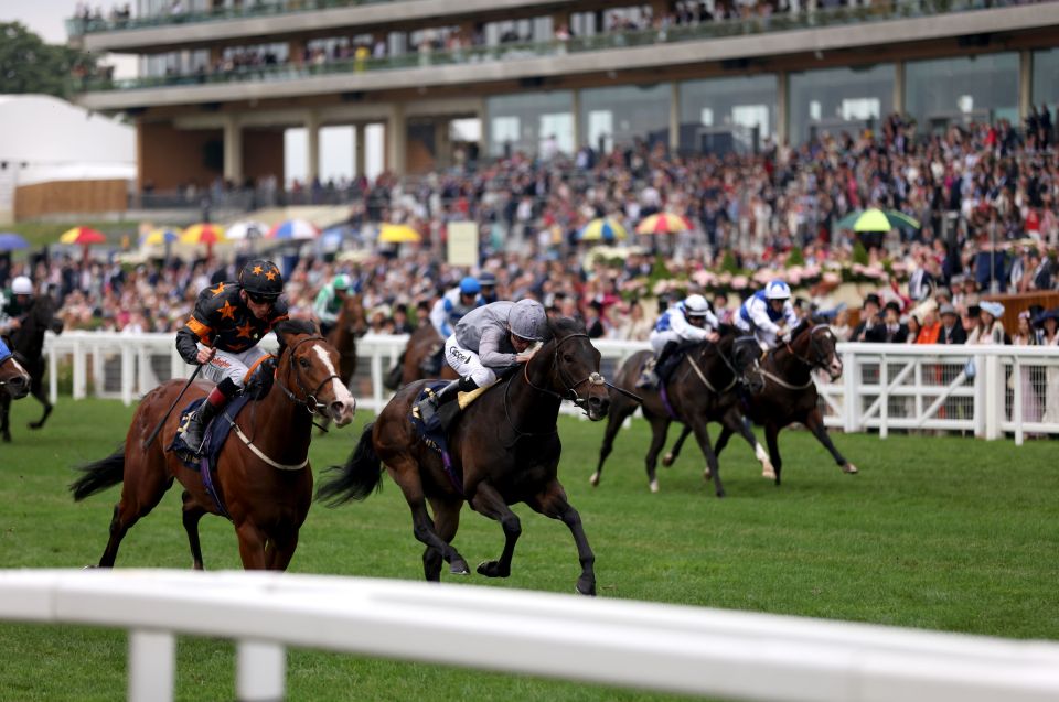 Rohaan winning the Wokingham Stakes